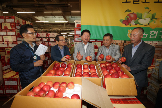 김병원 농협 회장(가운데)이 10일 폭염·태풍·폭우로 큰 피해를 입은 충북 충주를 방문해 사과 출하현황을 점검했다.  농협 제공